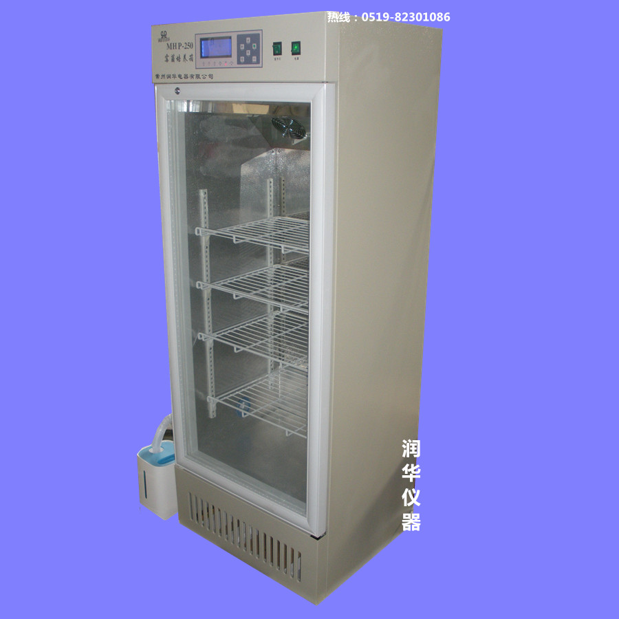 銷售部DNP-9012電熱恒溫培養箱