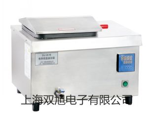 電熱恒溫油槽DKU-2北京大興原理