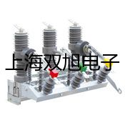 WZP-64SB隔爆鉑電阻,WZP-64SB成武銷售