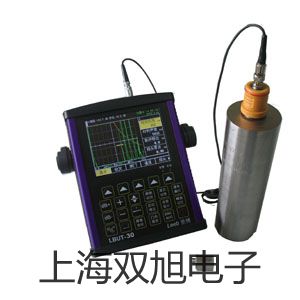 奧豪斯電子臺秤D51P300QX2ZH廣州海珠原理