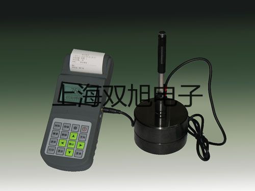 法國奧德姆氣體檢測儀RS500-H2S 王益參數