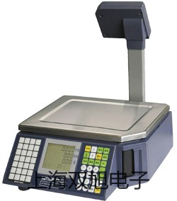 testo 605-H2溫濕度儀大名銷售部