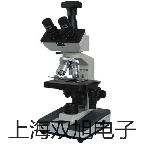 筆式余氯計CL-200陜西西安新城參數(shù)