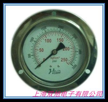 BLD卡子快裝式衛生型隔膜表BRIGHTY布萊迪PTHN-98.AO.513-F6