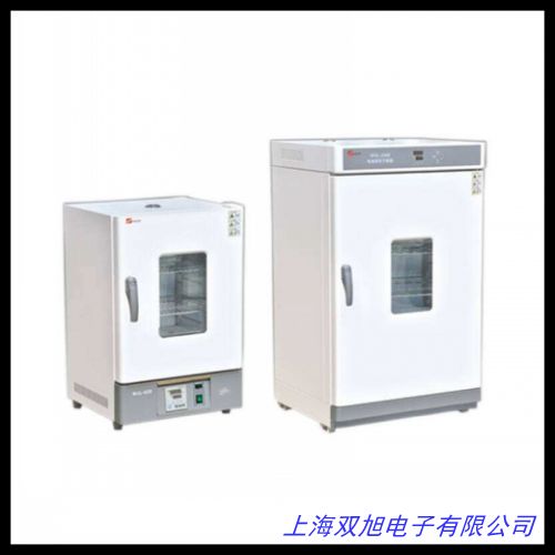 熱風循環電熱鼓風高溫干燥箱 真空烘箱 工業烤箱 高溫真空干燥箱