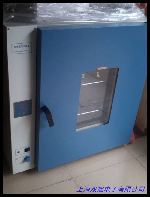 電熱恒溫鼓風烘干箱 工業烤箱 精密鼓風干燥箱 恒溫烘箱量大從優