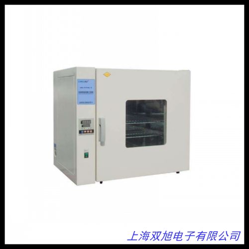 生產(chǎn) 非標(biāo)干燥箱 電熱恒溫干燥箱 實(shí)驗(yàn)電熱鼓風(fēng)干燥箱