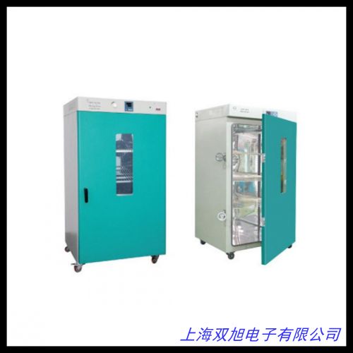電熱恒溫干燥箱 真空干燥箱電熱鼓風干燥箱 箱式干燥箱