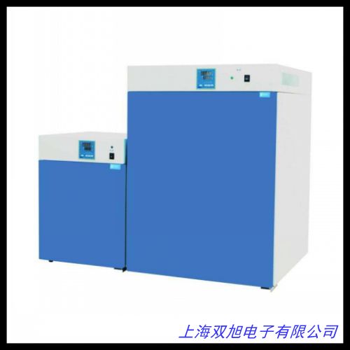 上海精密型電熱恒溫培養箱 DHP-9162
