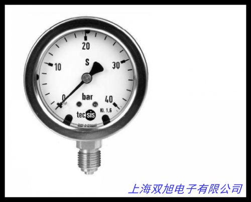 YJ-100ZT 16bar 軸向帶邊壓力表 面板式壓力表 可充油耐震壓力表